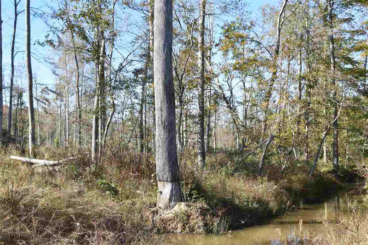 0 Cook Road Cedar Grove, TN 38321 - Photo 22 of 24 Photo 22