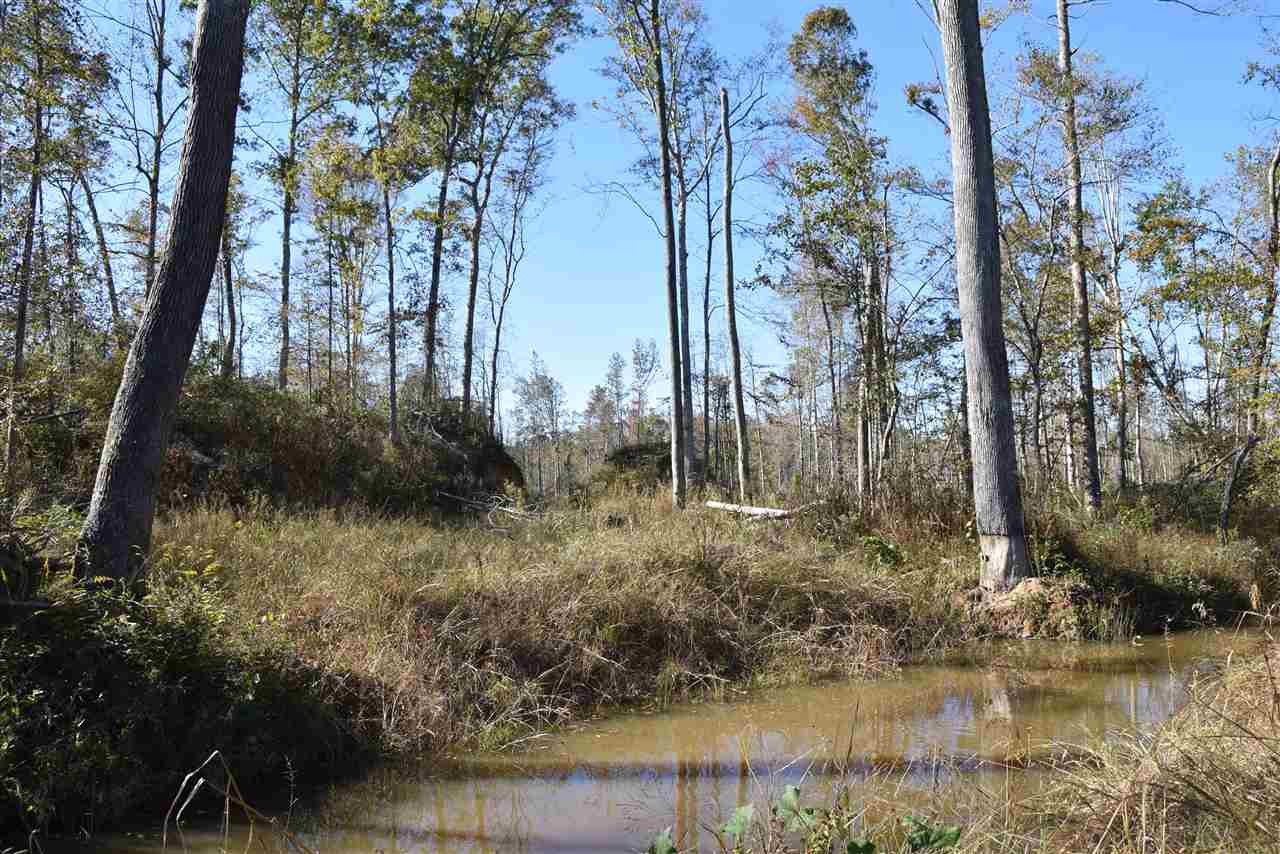 0 Cook Road Cedar Grove, TN 38321 - Photo 24 of 24 Photo 24