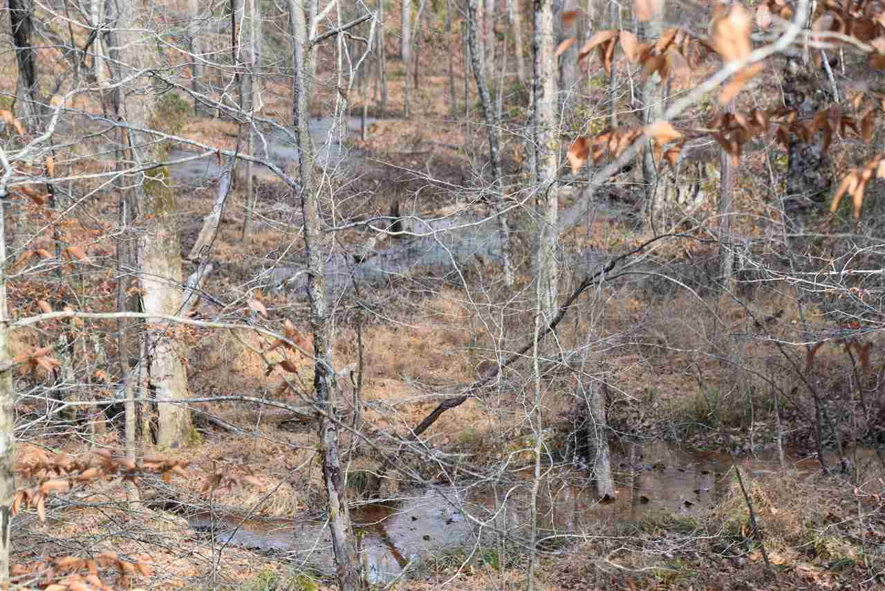 0 Cook Road Cedar Grove, TN 38321 - Photo 10 of 24 Photo 10