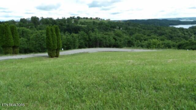 Lot 40 Swan Ridge Road Celina, TN 38551 - Photo 7 of 31 100_0028