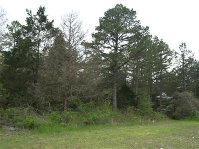 164 County Road Dora, MO 65637 - Photo 1 of 1 Primary Photo