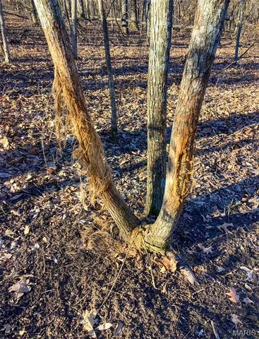 $369,500 | 9057 Big Tavern Creek Road, Portland, MO 65067