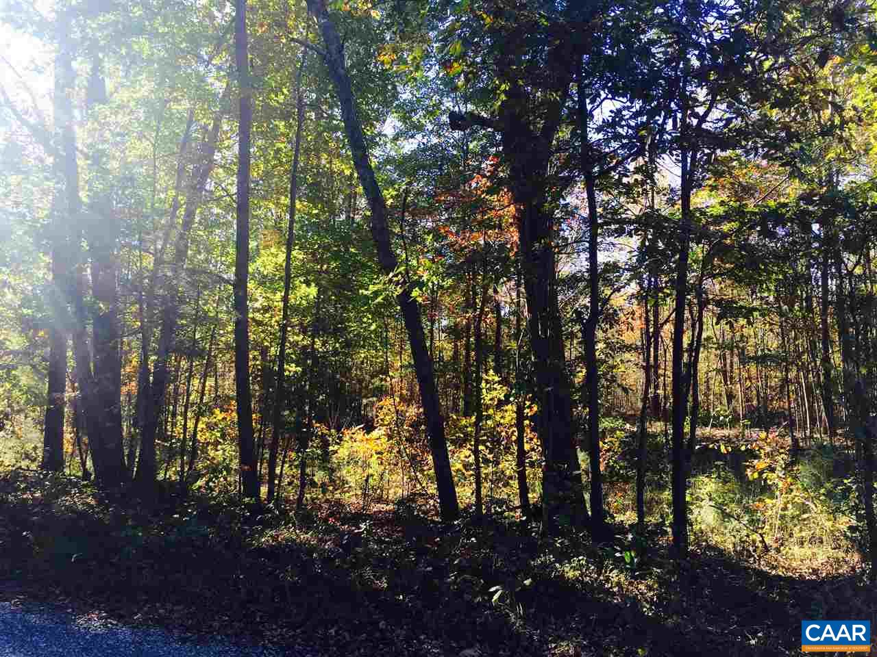 0 Fleming Road Louisa, VA 23093 - Photo 12 of 13 Gallery Image 12