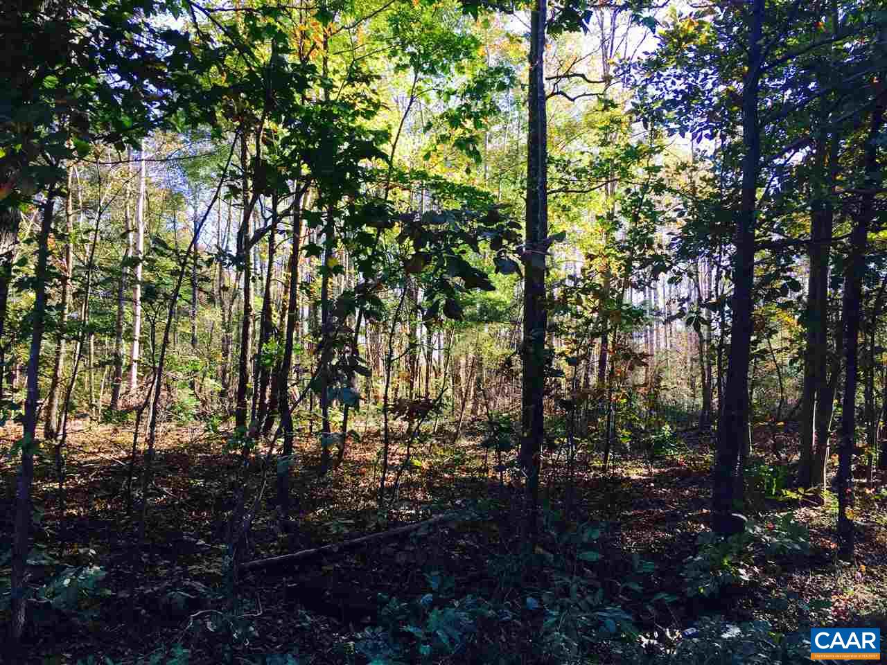 0 Fleming Road Louisa, VA 23093 - Photo 2 of 13 Gallery Image 2