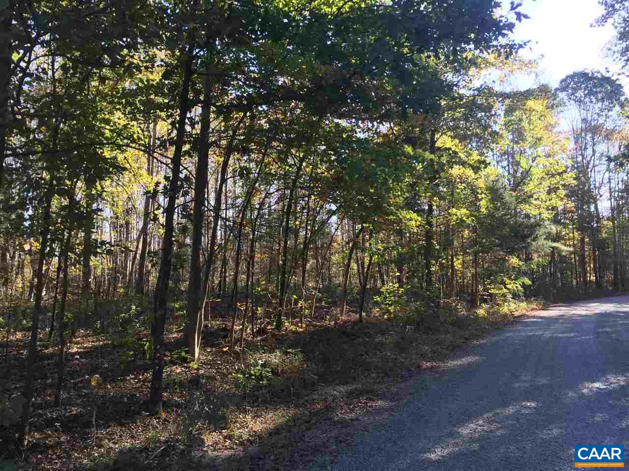 0 Fleming Road Louisa, VA 23093 - Photo 4 of 13 Gallery Image 4