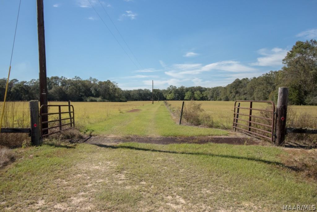 726 Spring Creek Road Geneva, AL 36340 - Photo 5 of 34 Gallery Image 5