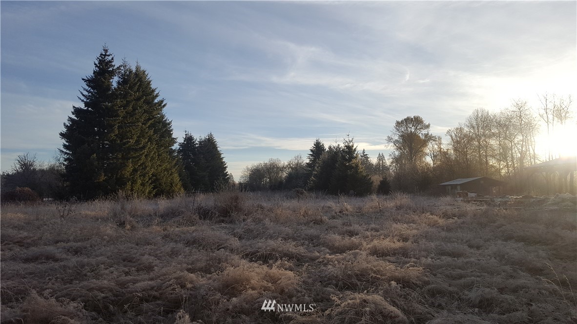 1024 Highway 508 Chehalis, WA 98532 - Photo 2 of 5