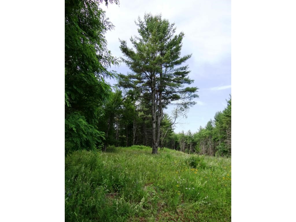 0 Baynes Road, Unit 8 Meriden, NH 03770 - Photo 1 of 13