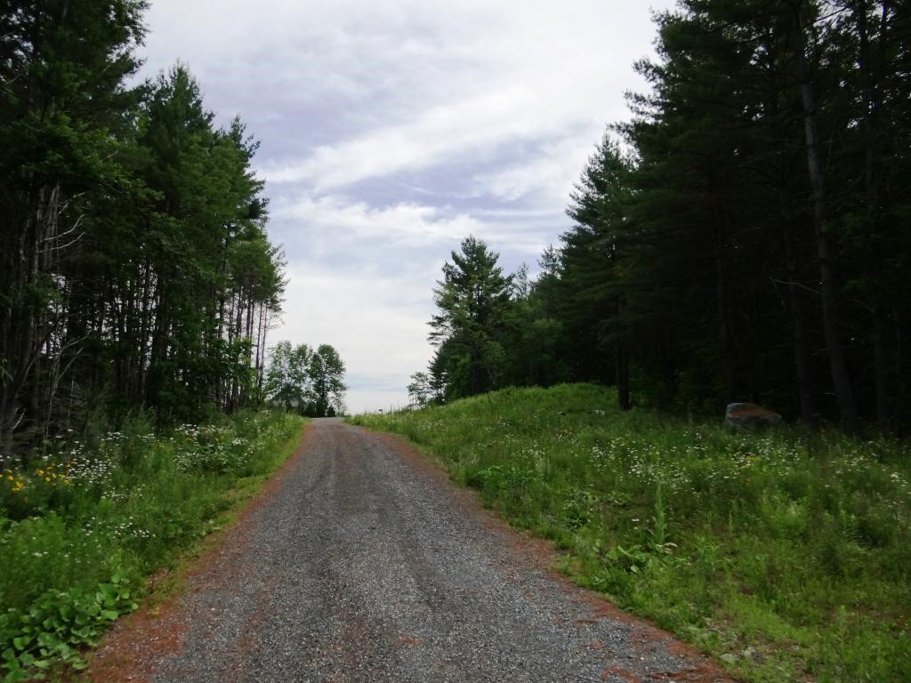 0 Baynes Road, Unit 8 Meriden, NH 03770 - Photo 3 of 13