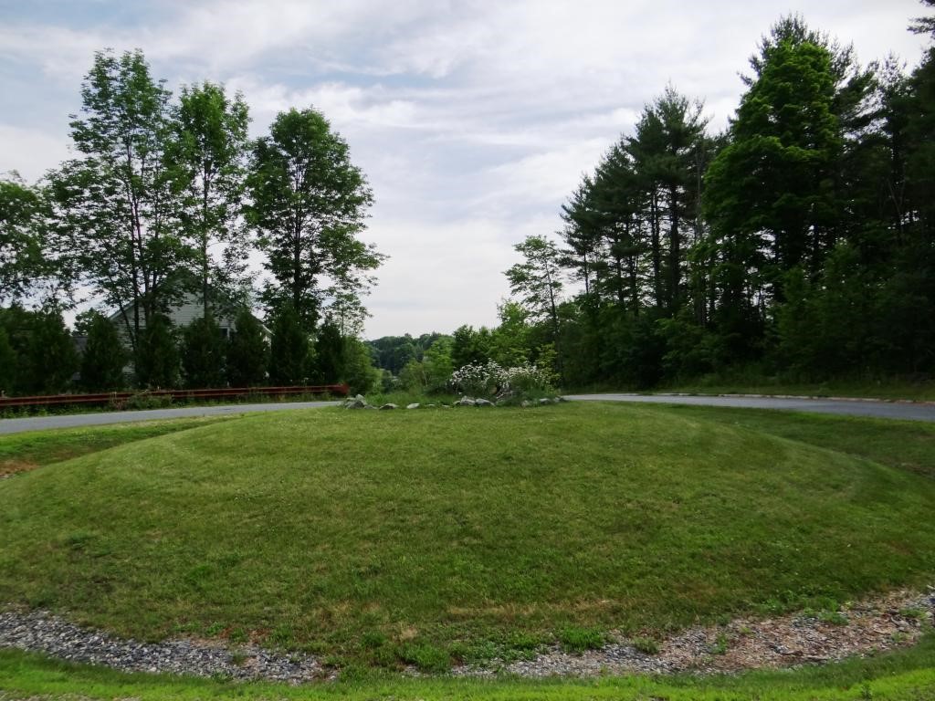 0 Baynes Road, Unit 8 Meriden, NH 03770 - Photo 4 of 13