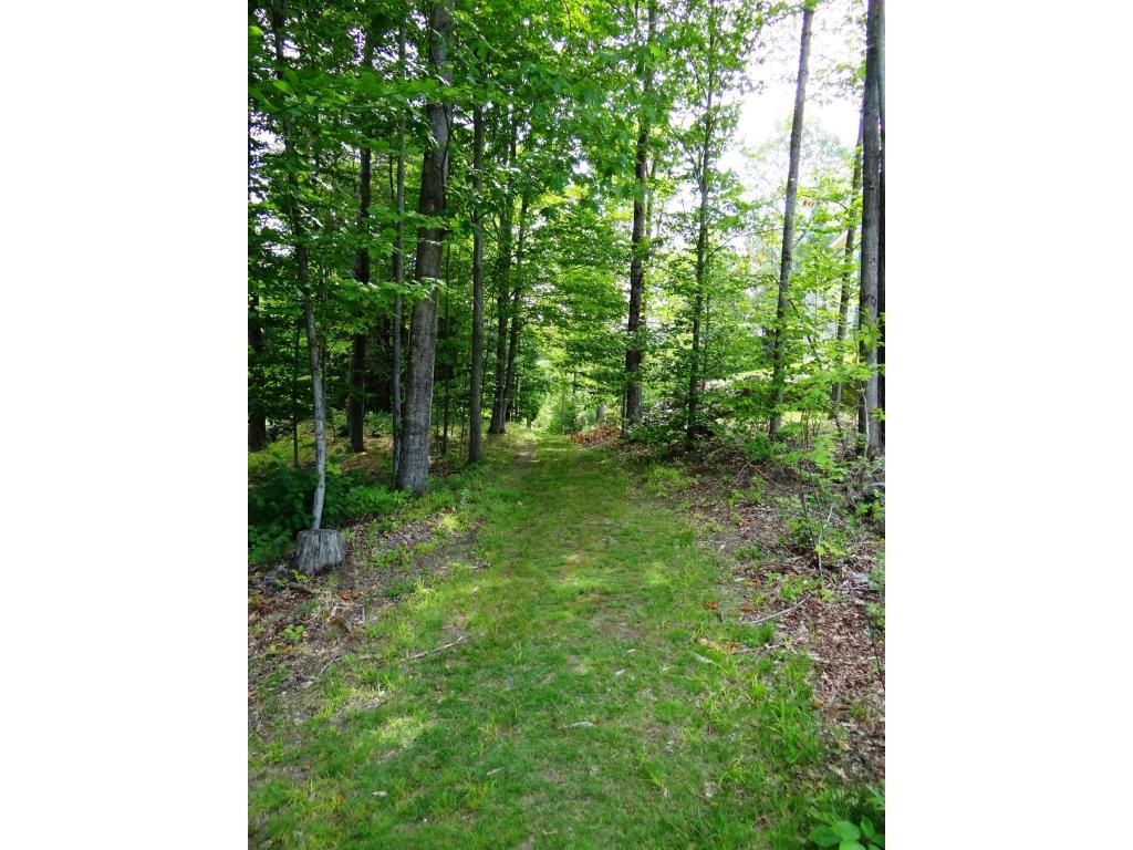 0 Baynes Road, Unit 8 Meriden, NH 03770 - Photo 7 of 13
