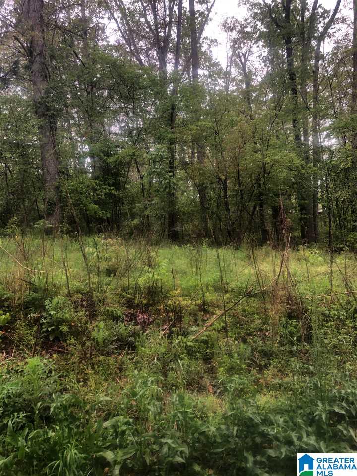 0 Mountain Lake Road, Unit LOT 8 Warrior, AL 35180 - Photo 1 of 1