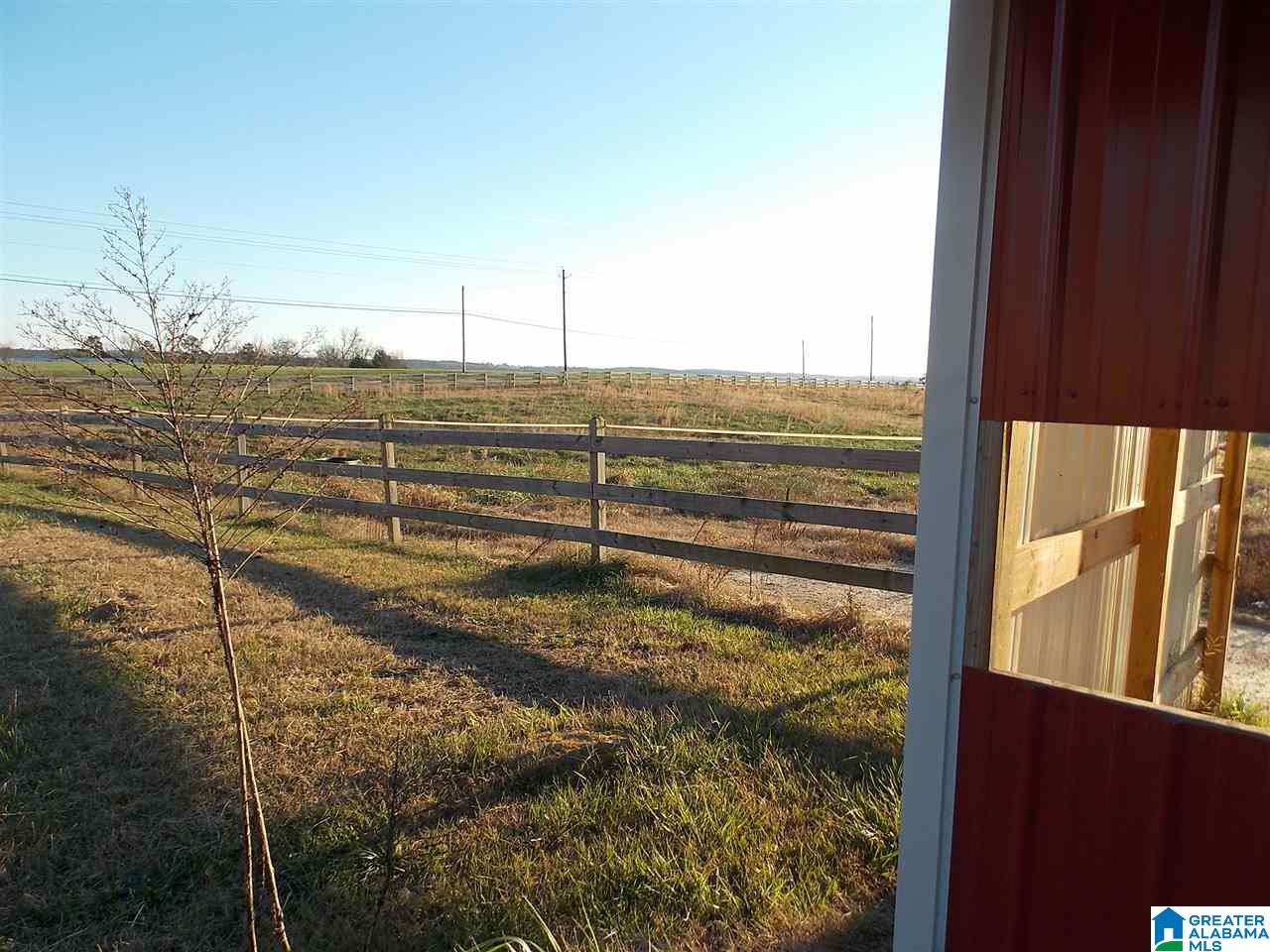 951 County Road 12 Oneonta, AL 35121 - Photo 37 of 44
