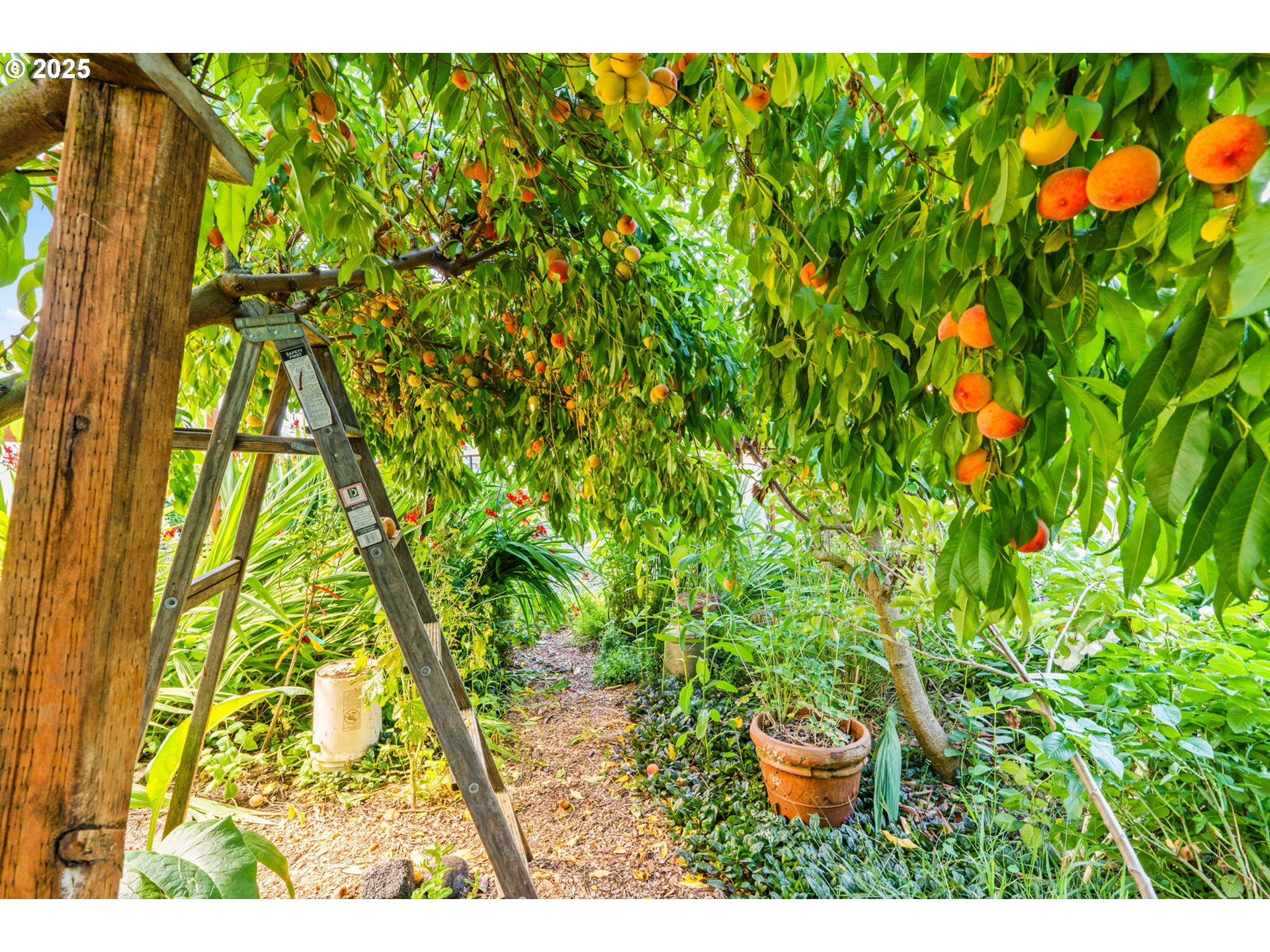 34755 Row River Road Cottage Grove, OR 97424 - Photo 24 of 43