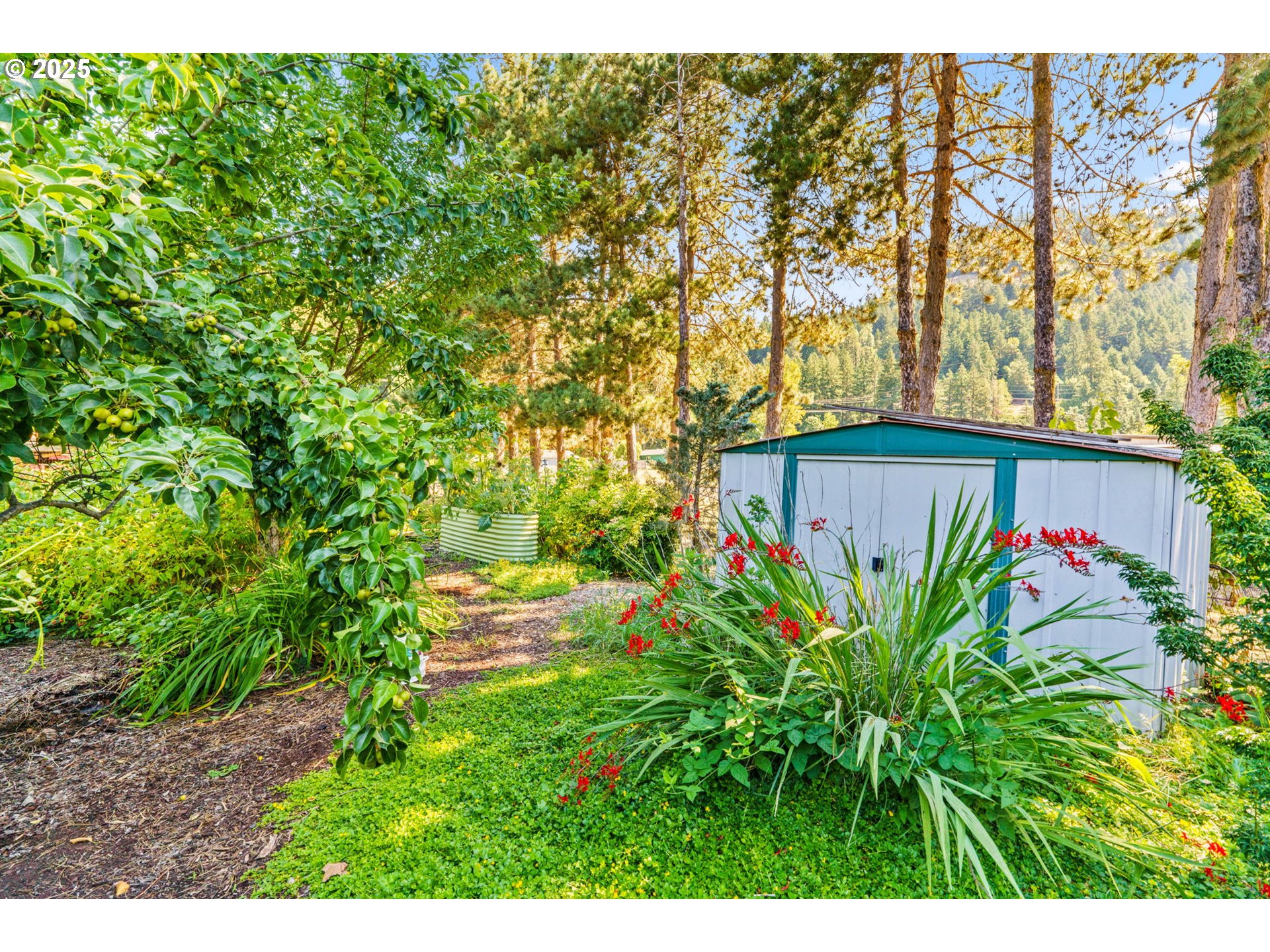 34755 Row River Road Cottage Grove, OR 97424 - Photo 25 of 43