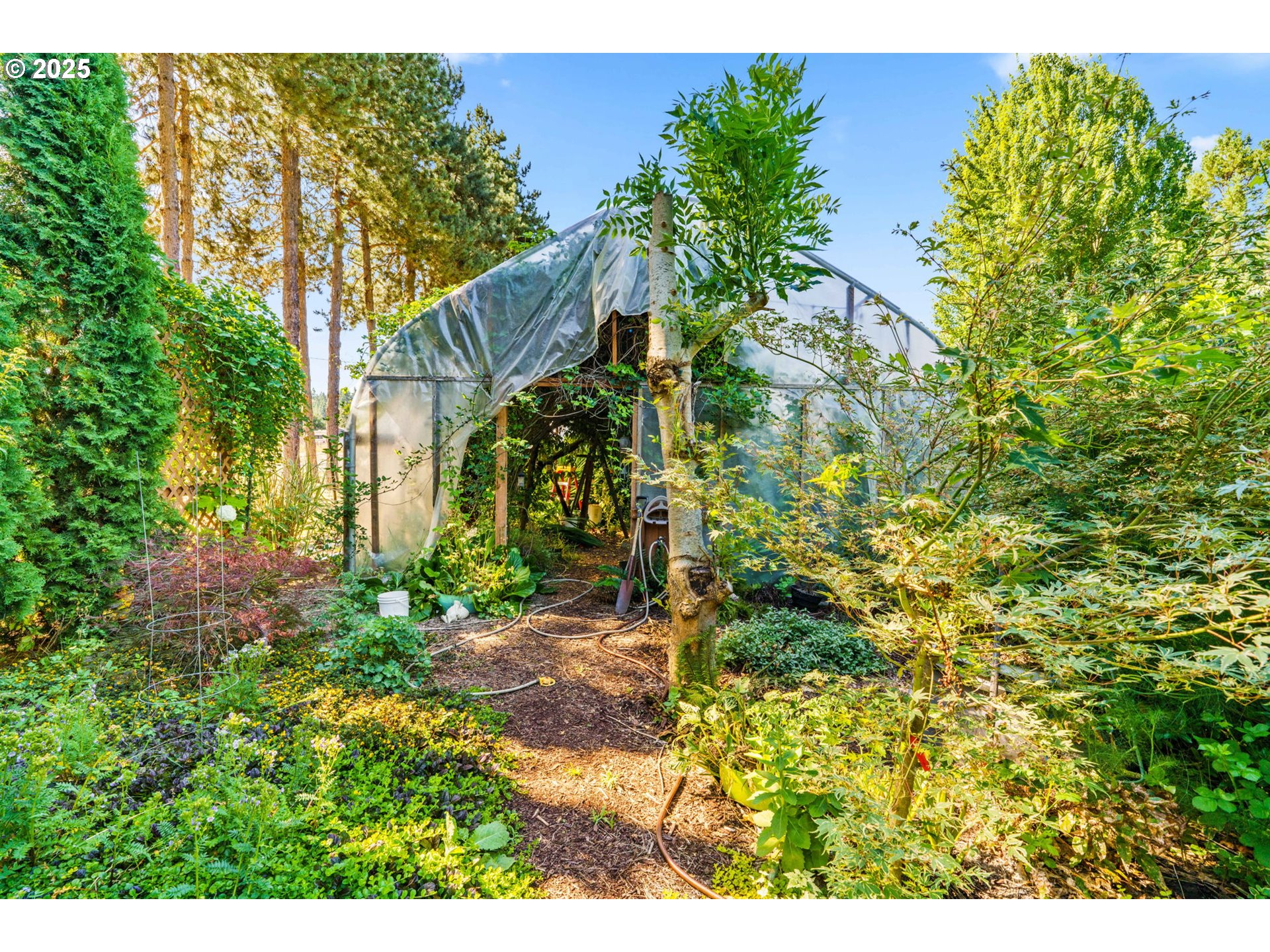 34755 Row River Road Cottage Grove, OR 97424 - Photo 31 of 43