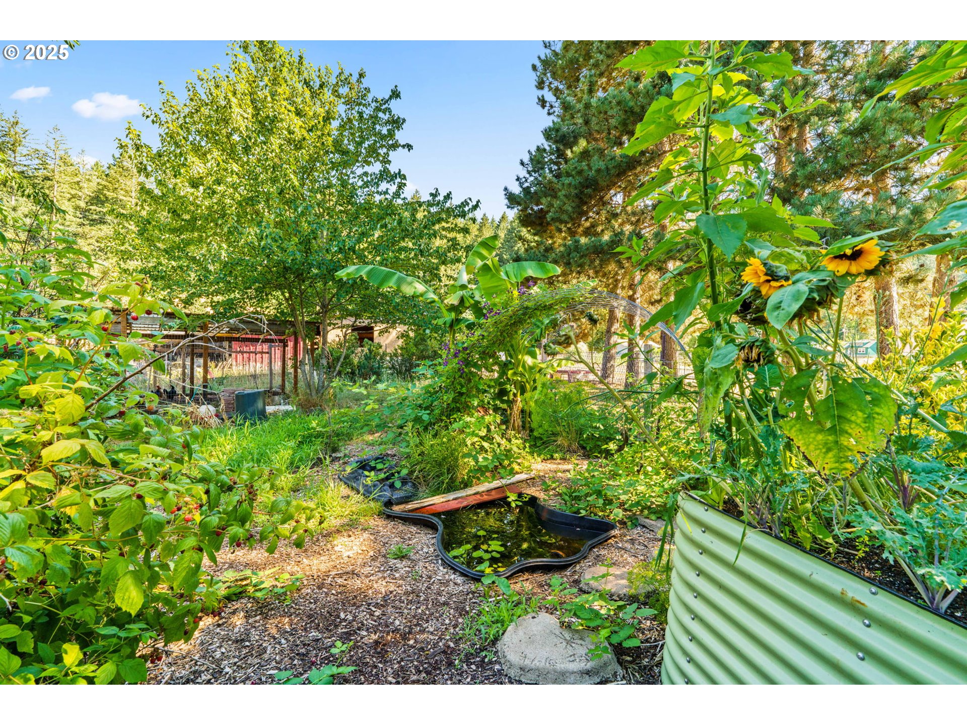 34755 Row River Road Cottage Grove, OR 97424 - Photo 32 of 43