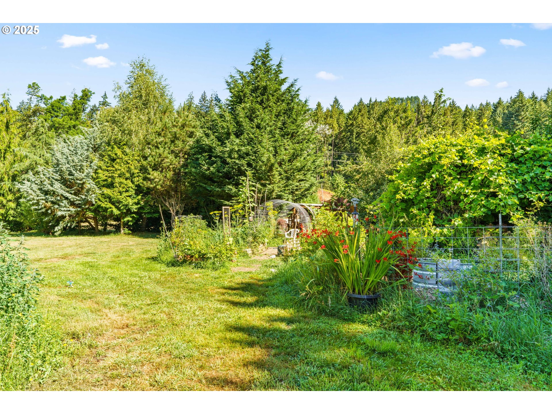 34755 Row River Road Cottage Grove, OR 97424 - Photo 4 of 43