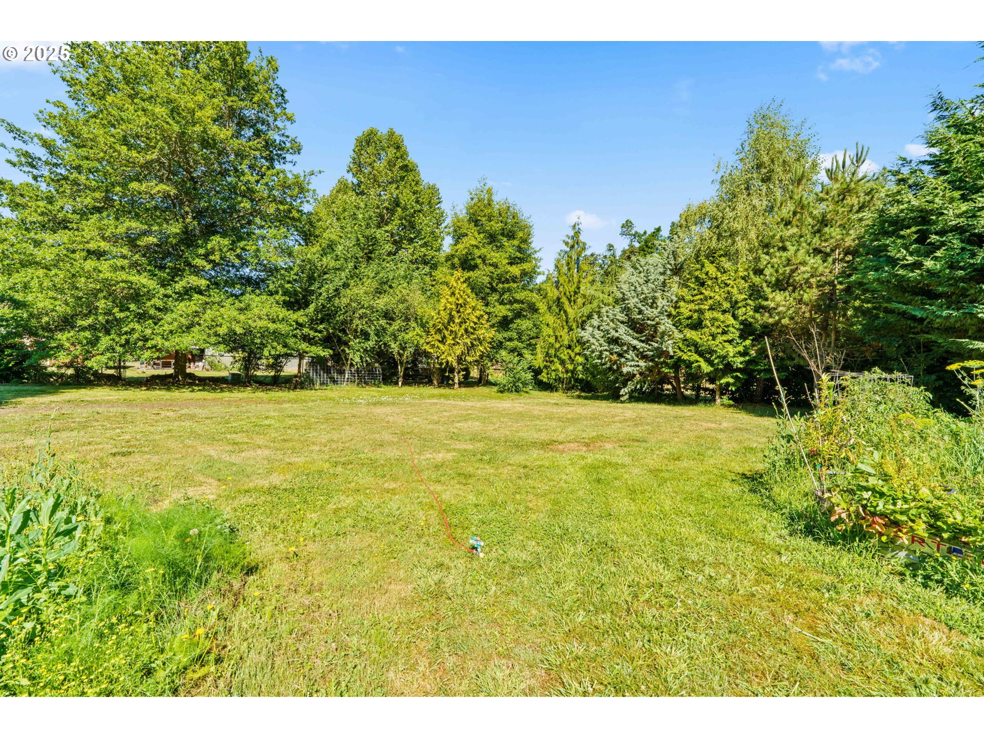 34755 Row River Road Cottage Grove, OR 97424 - Photo 6 of 43