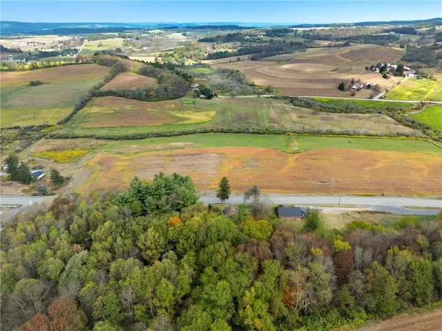 a view of a garden with plants