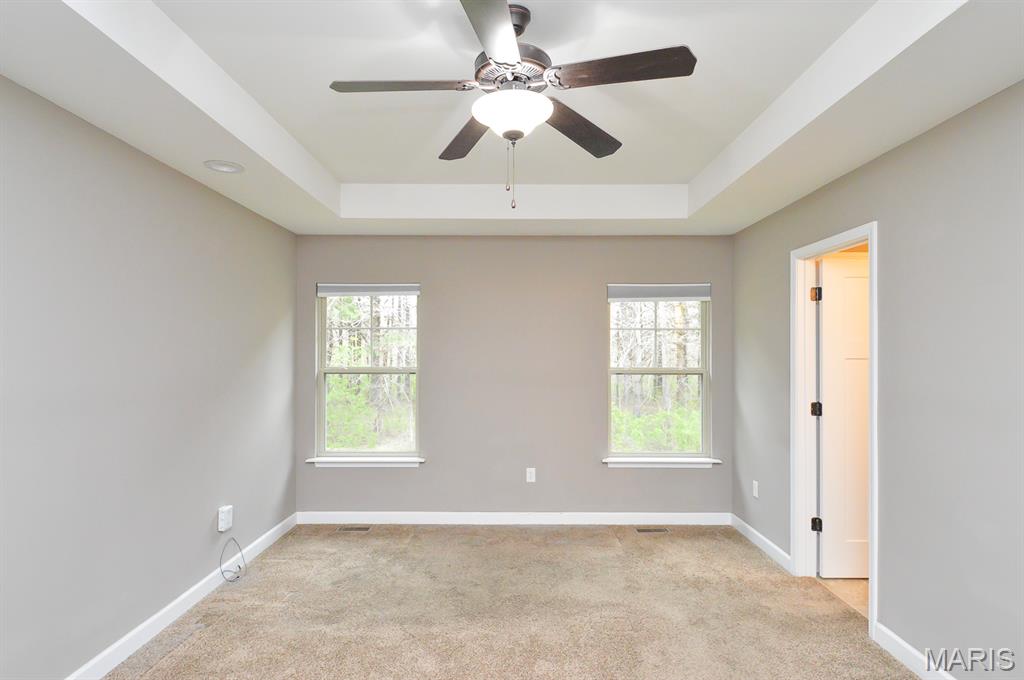 437 Briar Creek Road Troy, IL 62294 - Photo 24 of 48