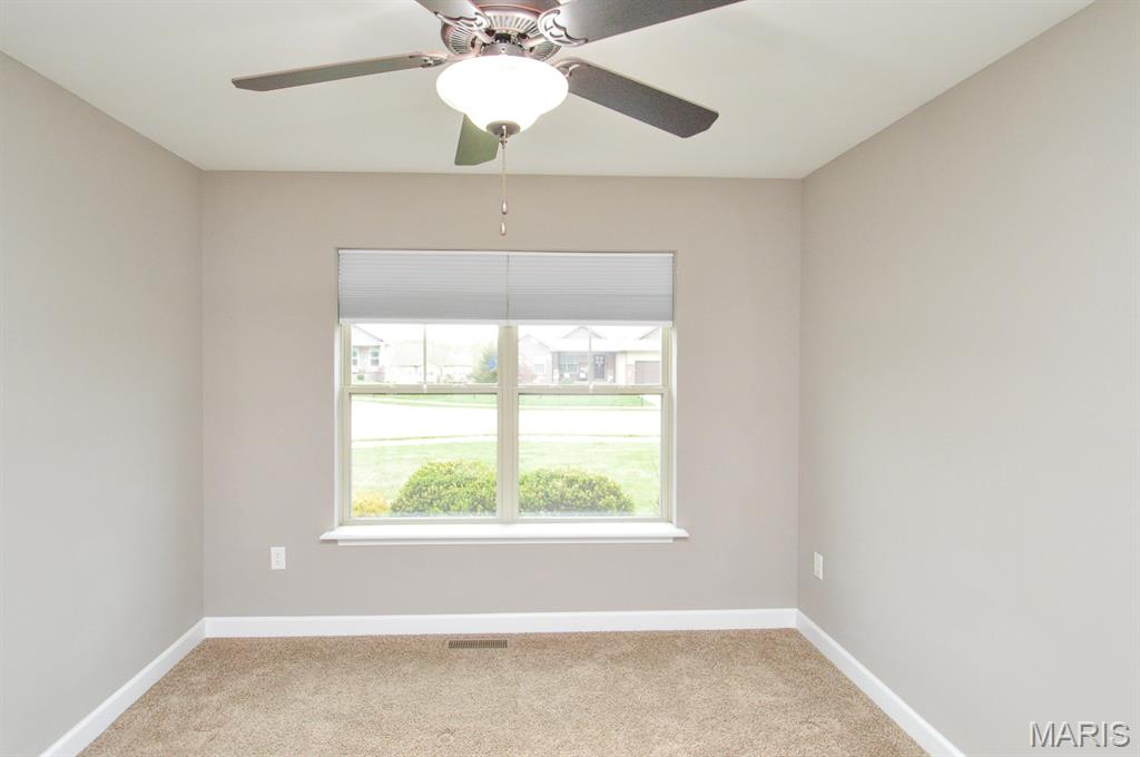 437 Briar Creek Road Troy, IL 62294 - Photo 30 of 48