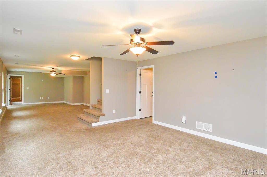 437 Briar Creek Road Troy, IL 62294 - Photo 36 of 48