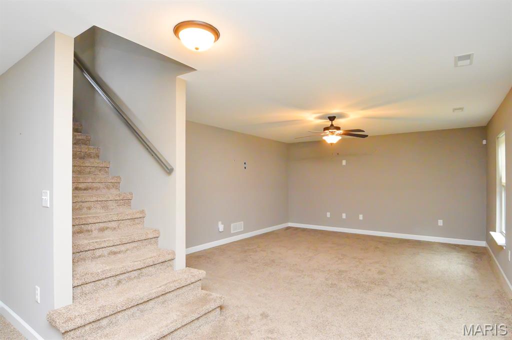 437 Briar Creek Road Troy, IL 62294 - Photo 37 of 48
