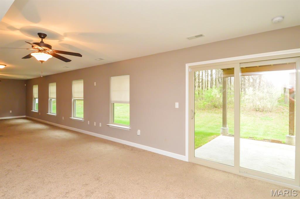437 Briar Creek Road Troy, IL 62294 - Photo 39 of 48
