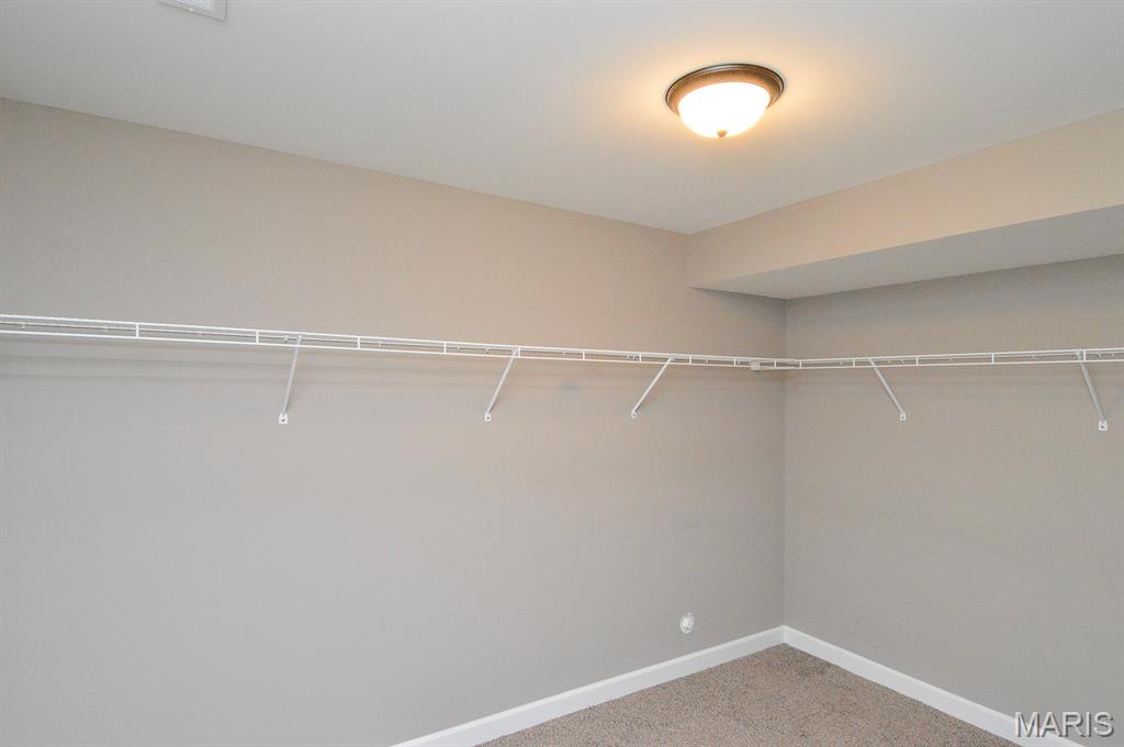 437 Briar Creek Road Troy, IL 62294 - Photo 42 of 48