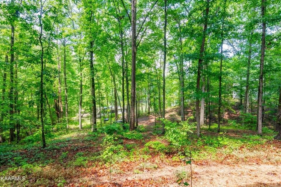 839 Ewing Road Spring City, TN 37381 - Photo 52 of 54 Gallery Image 52