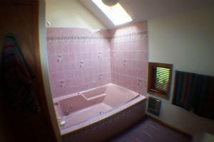 5019 Hounds Ear Road Tobyhanna, PA 18466 - Photo 25 of 44 View Of Jacuzzi In 2nd Bath