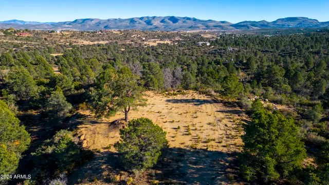 a view of a forest with mountains in the background