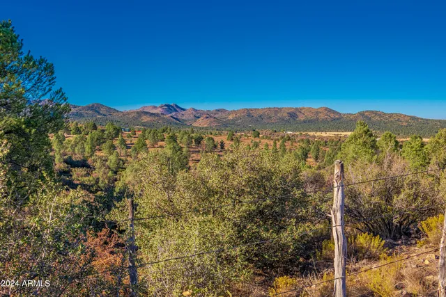 a view of a tree with a street