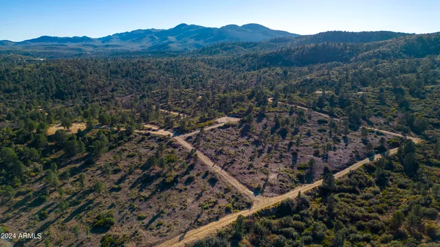 a view of a lush green field