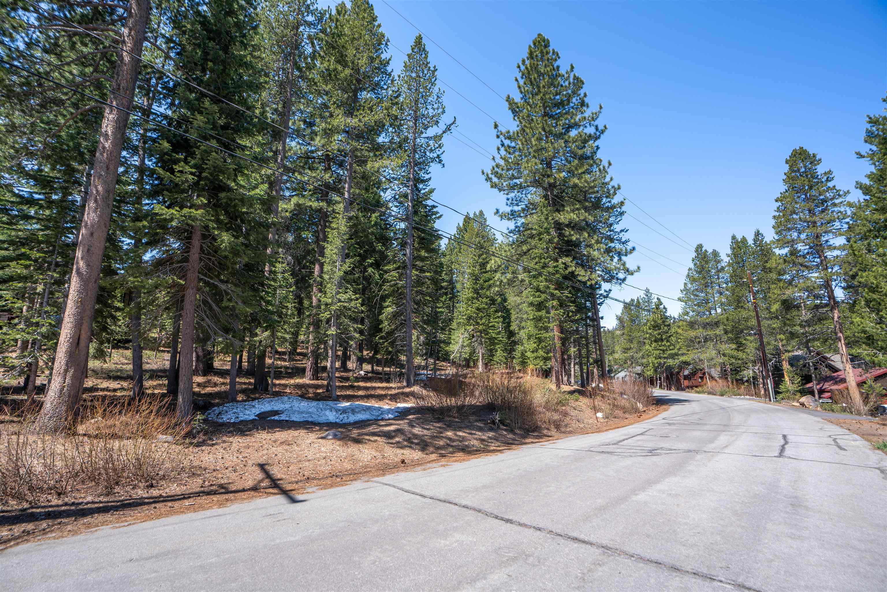 12685 Zurich Place Truckee, CA 96161 - Photo 11 of 11 a view of street with trees