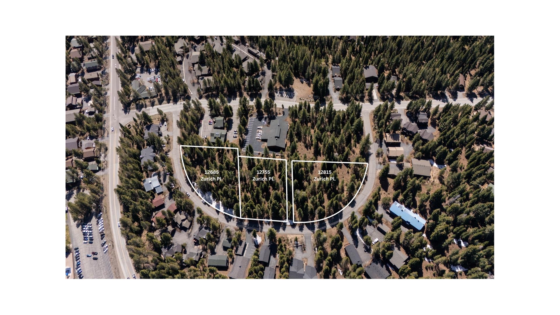 12685 Zurich Place Truckee, CA 96161 - Photo 2 of 11 a black and white photo of a room