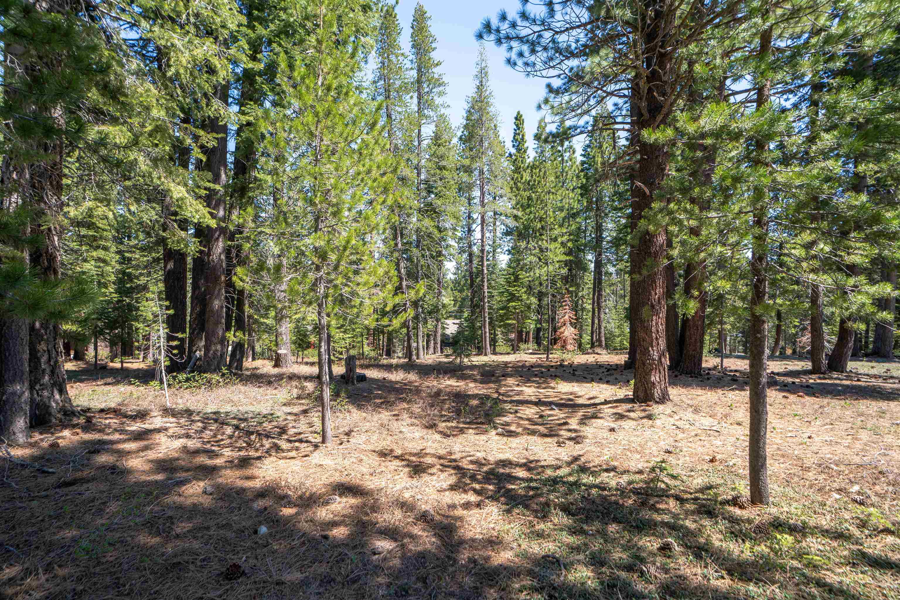12685 Zurich Place Truckee, CA 96161 - Photo 10 of 11 a view of a snow with trees