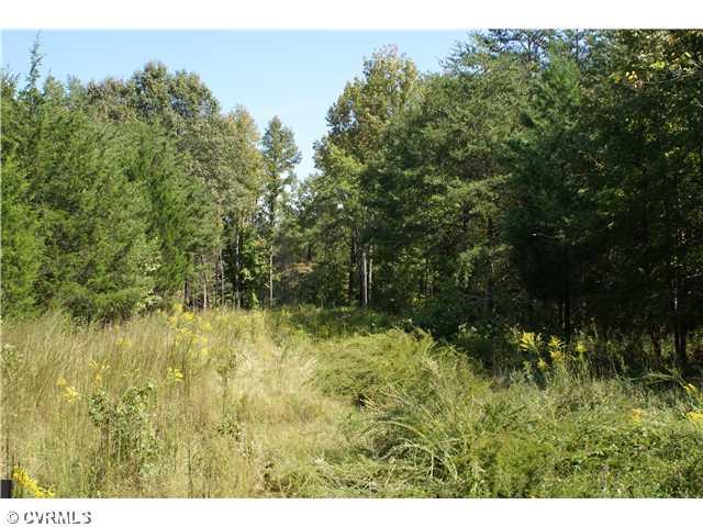 3960 Maidens Road Powhatan, VA 23139 - Photo 2 of 3 Exterior Front