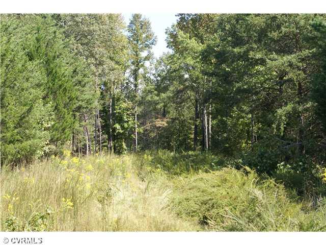 3960 Maidens Road Powhatan, VA 23139 - Photo 3 of 3 Gallery Image 3