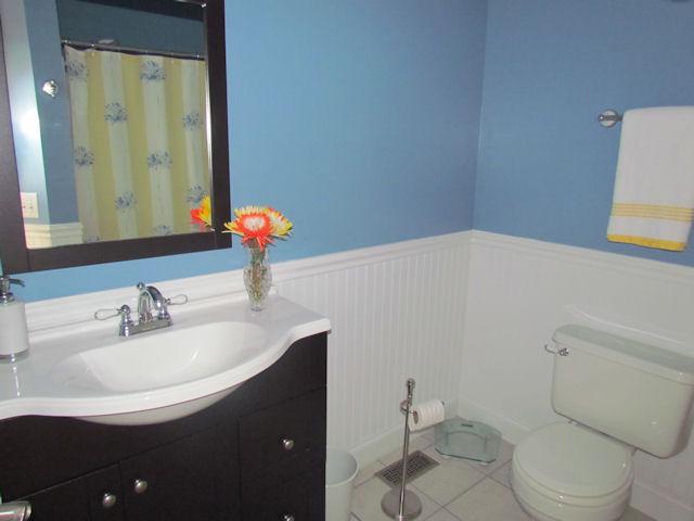 471 Old Hunters Point Pike North Lebanon, TN 37087 - Photo 8 of 16 2nd full bath has a fabulous custom vanity and custom sink, tile flooring and a shower/tub combo.