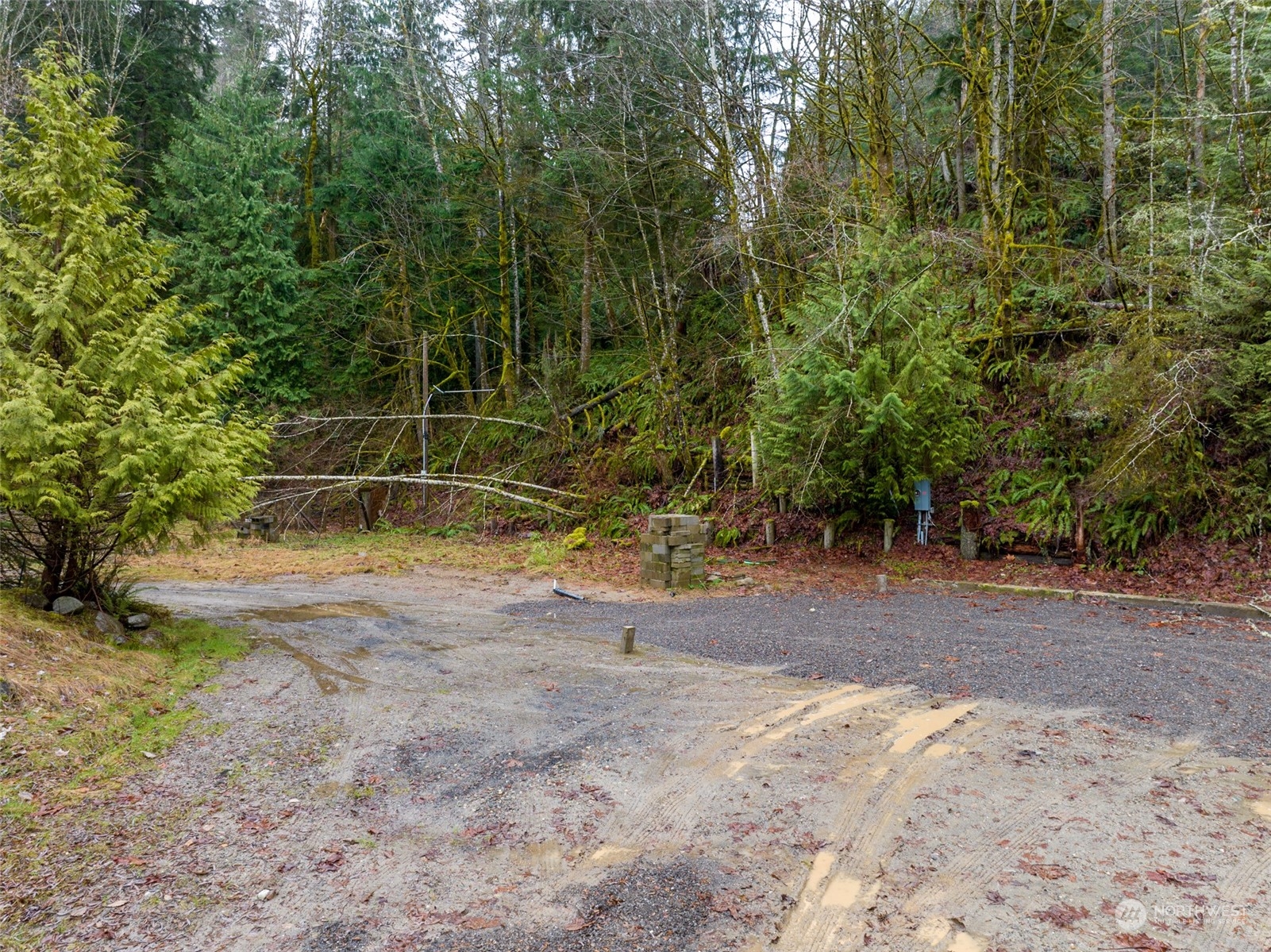 3323 McCary Road Southwest Port Orchard, WA 98367 - Photo 11 of 21 Gallery Image 11