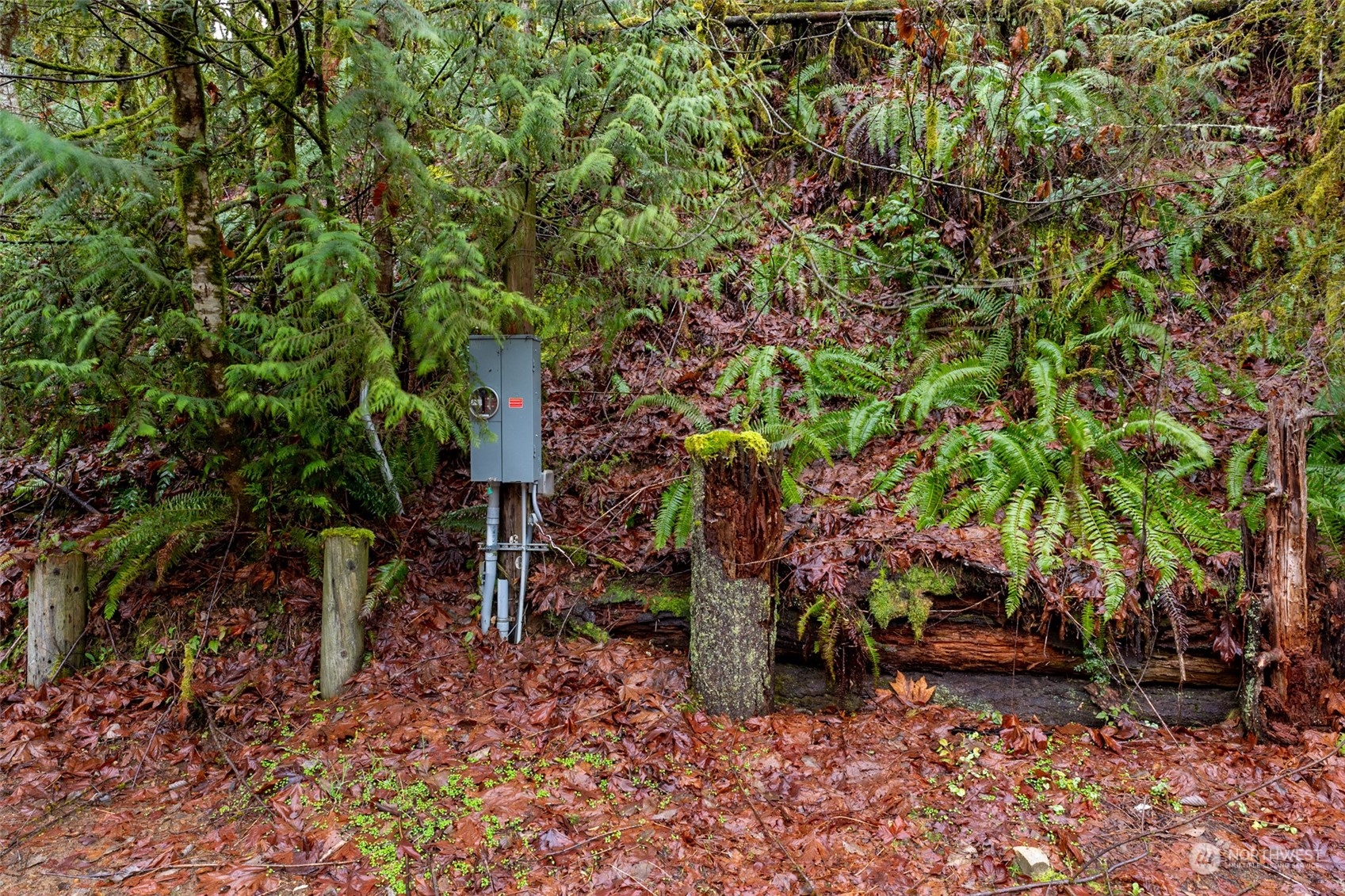 3323 McCary Road Southwest Port Orchard, WA 98367 - Photo 5 of 21 Gallery Image 5
