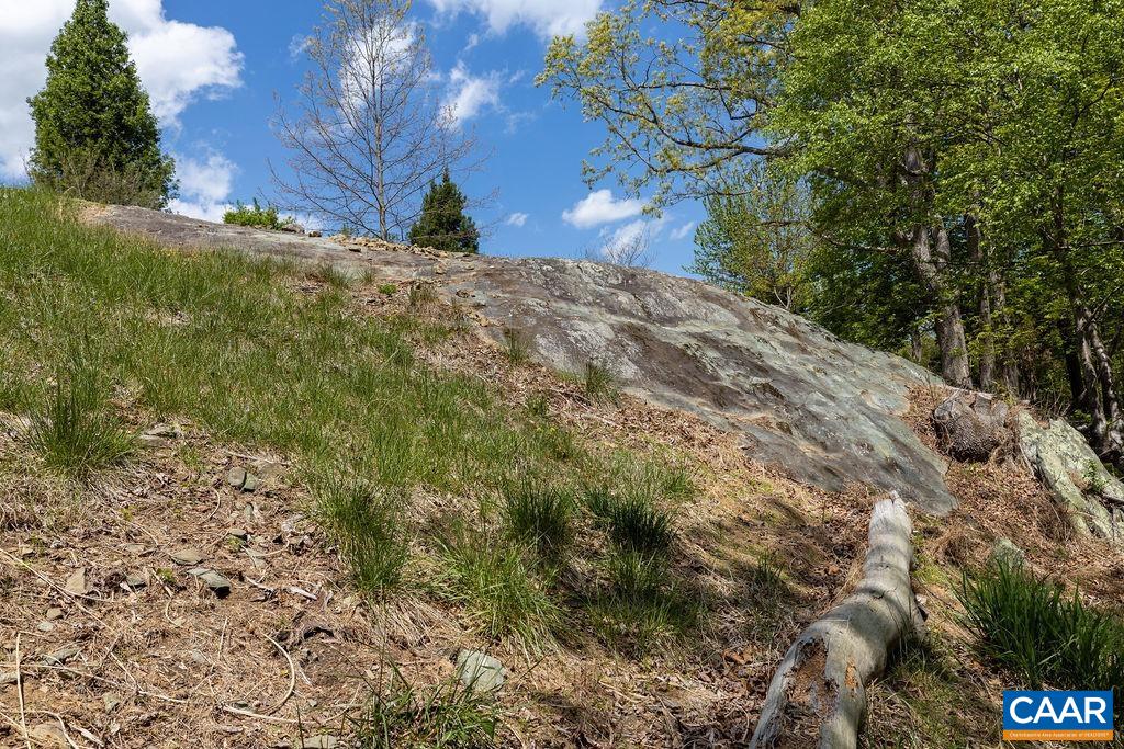 132 Reeds Gap Road Lyndhurst, VA 22952 - Photo 70 of 74 a view of a yard with plants and trees