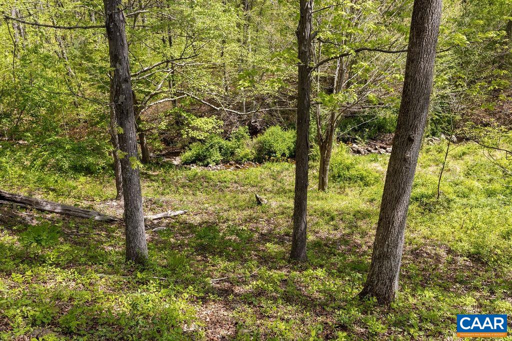 132 Reeds Gap Road Lyndhurst, VA 22952 - Photo 71 of 74 a view of a forest view