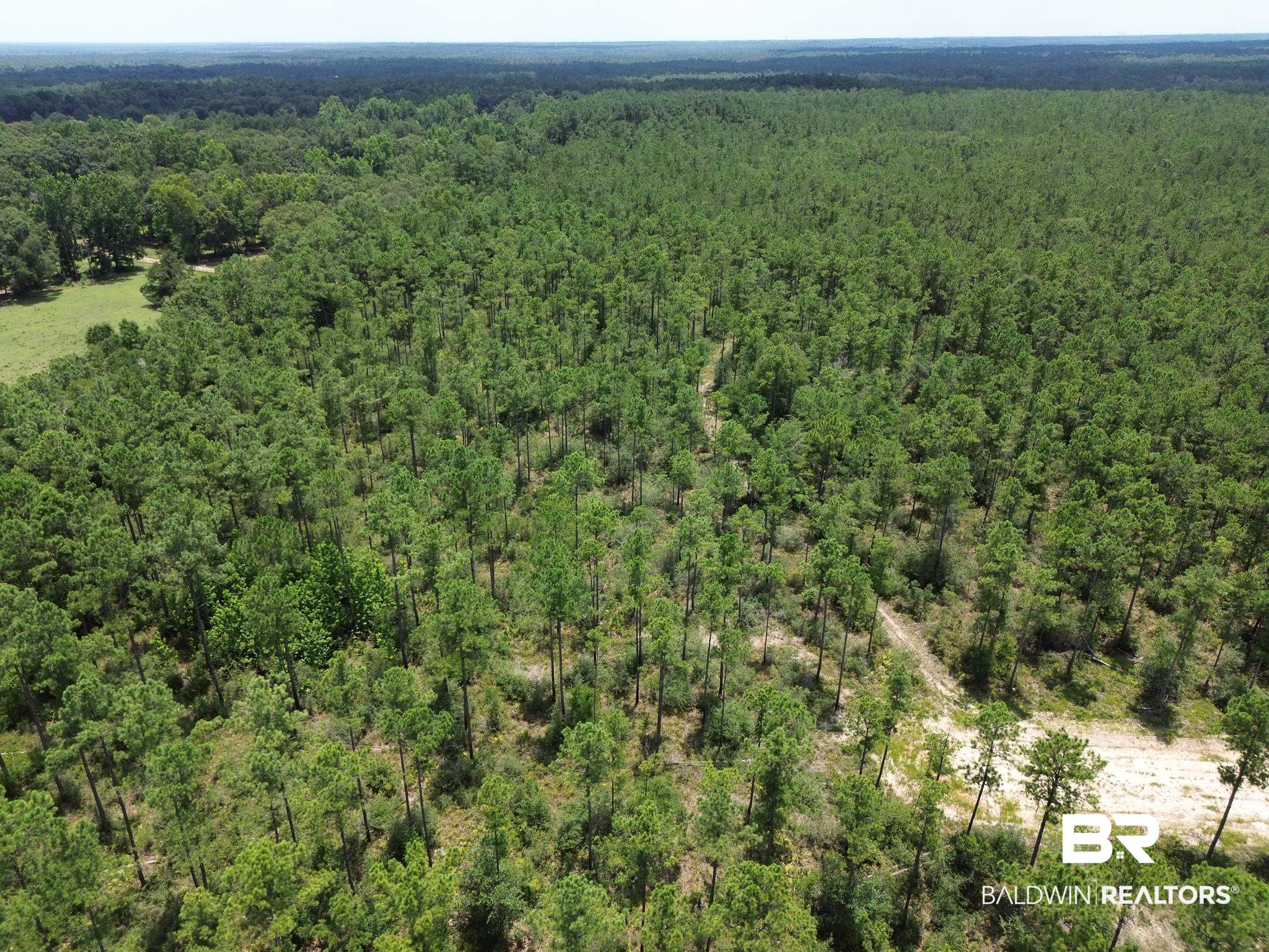 0 Kings Landing Road Seminole, AL 36574 - Photo 7 of 7