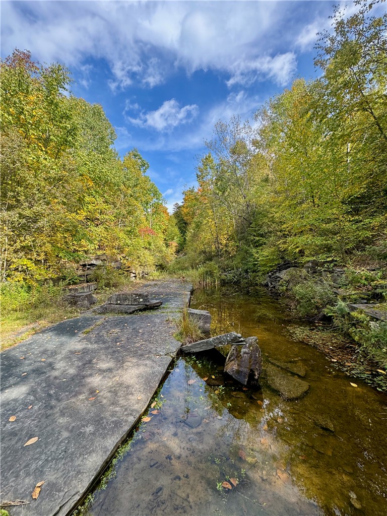 Gallop Hill Road Walton, NY 13856 - Photo 37 of 48 Quarry 1