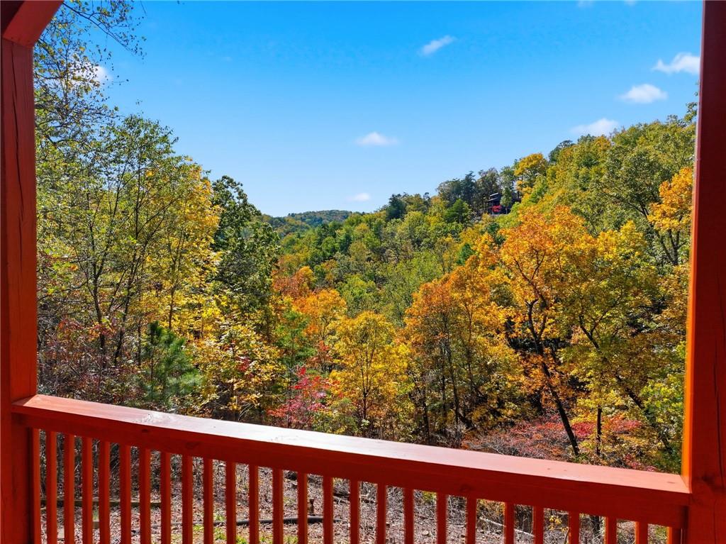 1384 Crystal Lane Northeast Ranger, GA 30734 - Photo 4 of 53 a view of a forest from a balcony