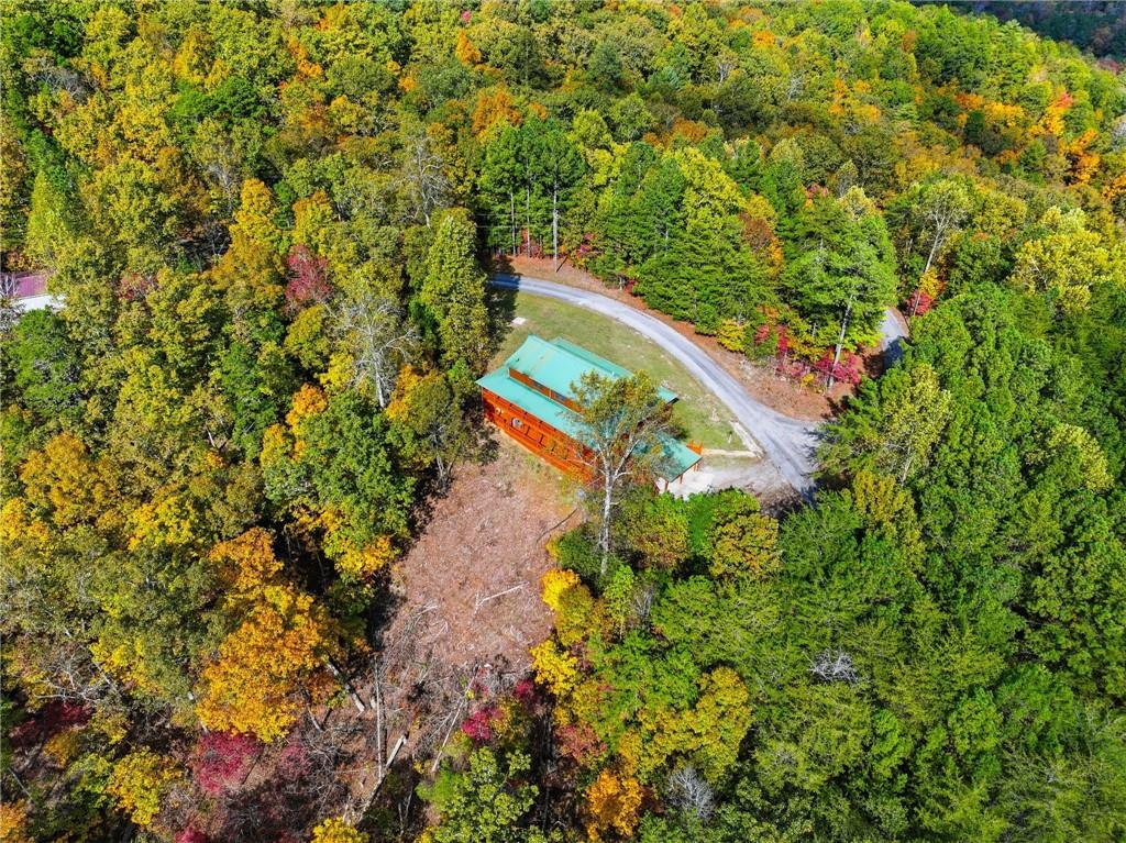 1384 Crystal Lane Northeast Ranger, GA 30734 - Photo 50 of 53 a view of a tree with a yard