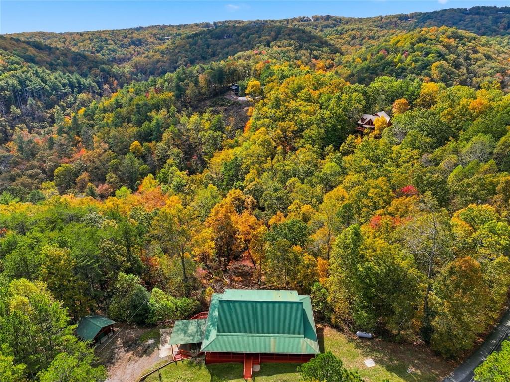 1384 Crystal Lane Northeast Ranger, GA 30734 - Photo 52 of 53 a view of a yard